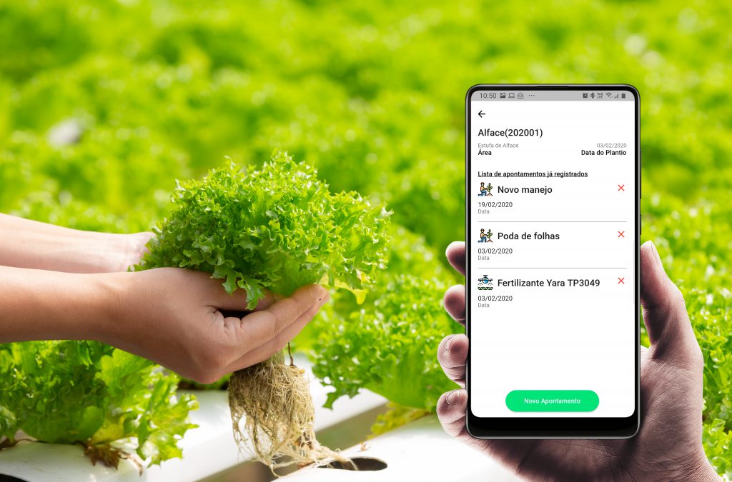Cultivo hidroponico de alface utilizando o caderno de campo da hortify para lançar os apontamentos diários necessário para a rastreabilidade alimentar